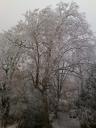 dsc00012.JPG