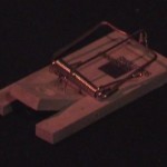Mausefalle Schock Spiel