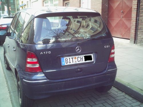 Bitch in a car